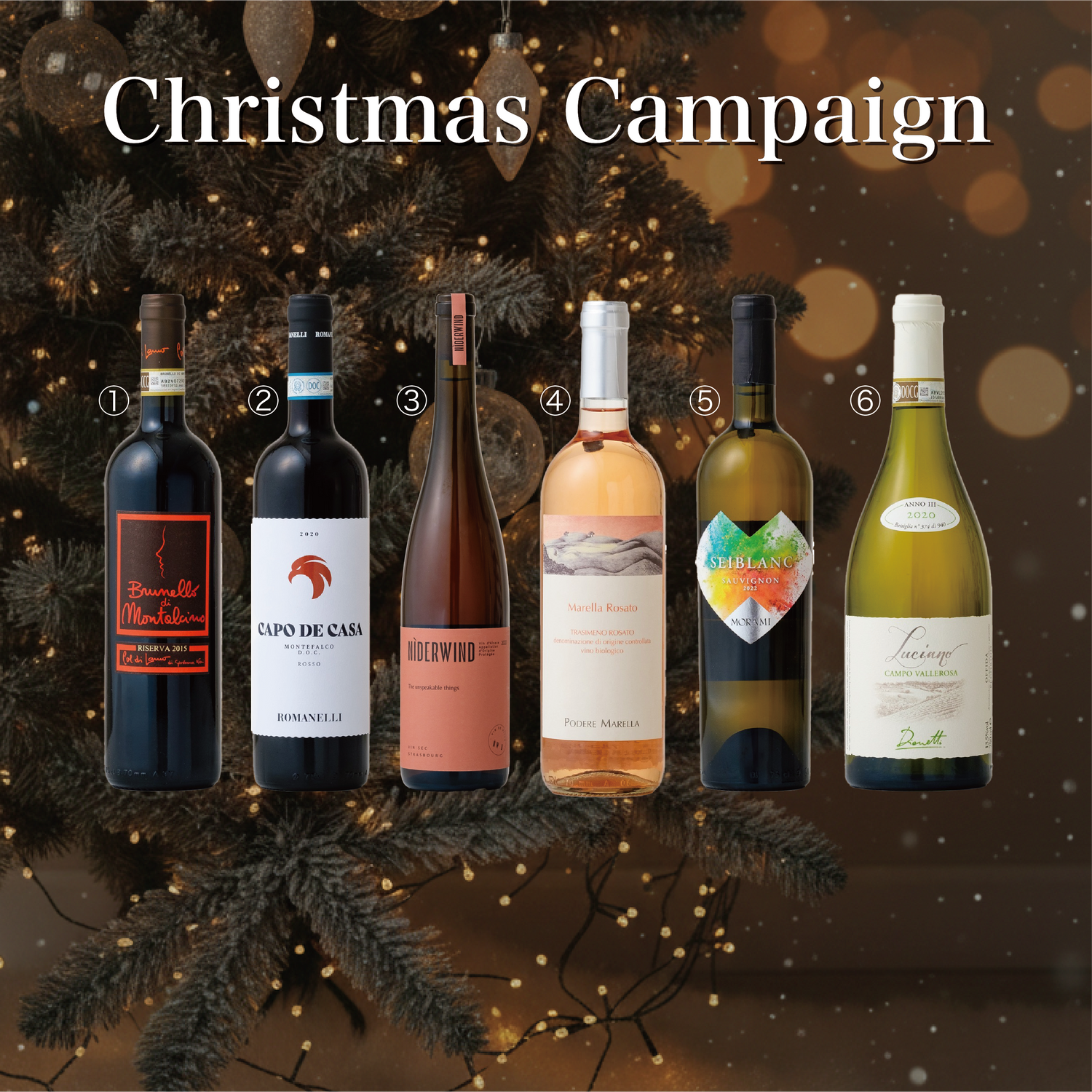 ホリデーに寄り添う 赤、オレンジ、ロゼ、白 6本セット